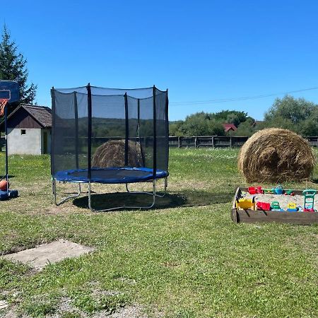 Pensiunea Ducu Scoreiu Exteriér fotografie
