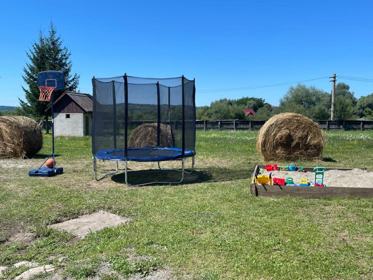 Pensiunea Ducu Scoreiu Exteriér fotografie