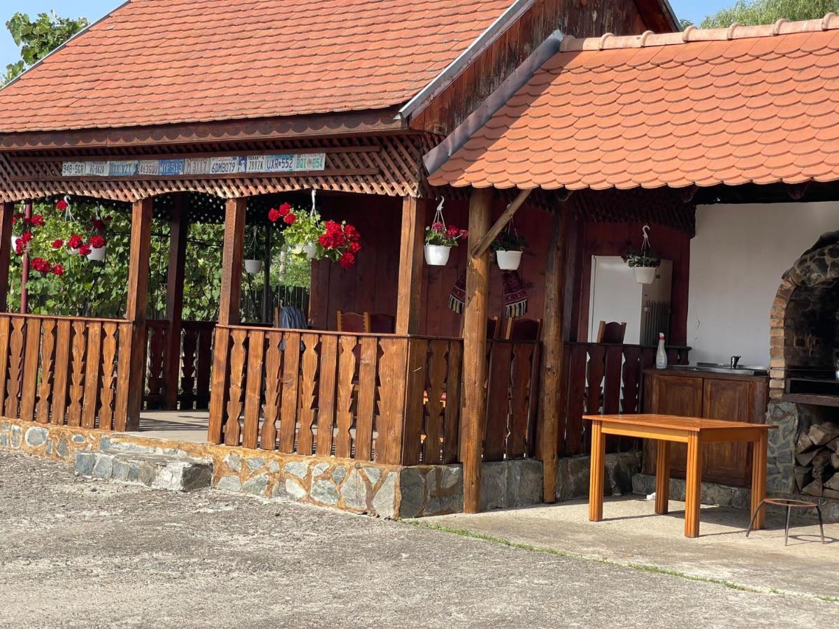 Pensiunea Ducu Scoreiu Exteriér fotografie