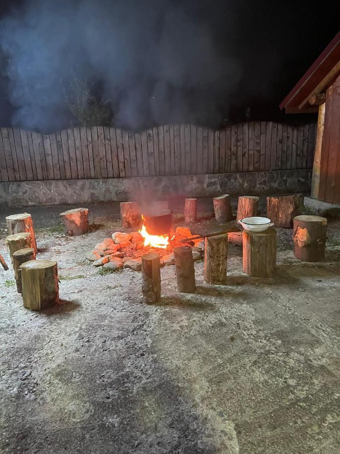 Pensiunea Ducu Scoreiu Exteriér fotografie