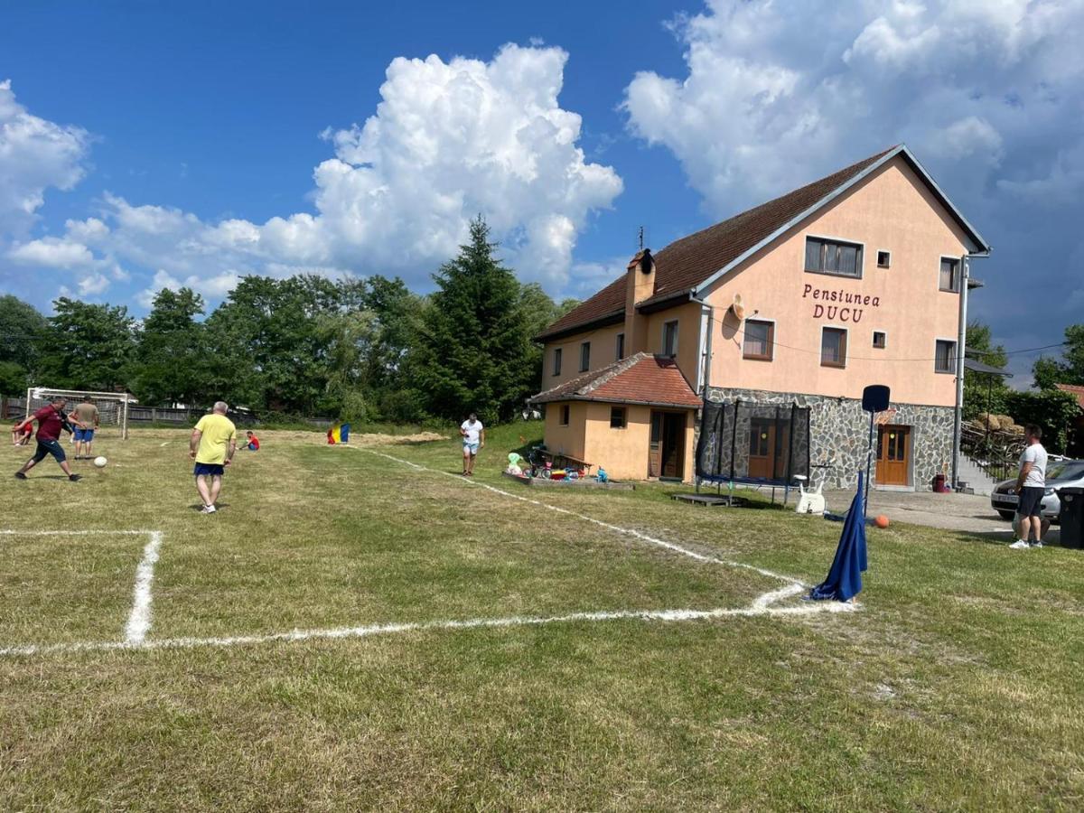Pensiunea Ducu Scoreiu Pokoj fotografie